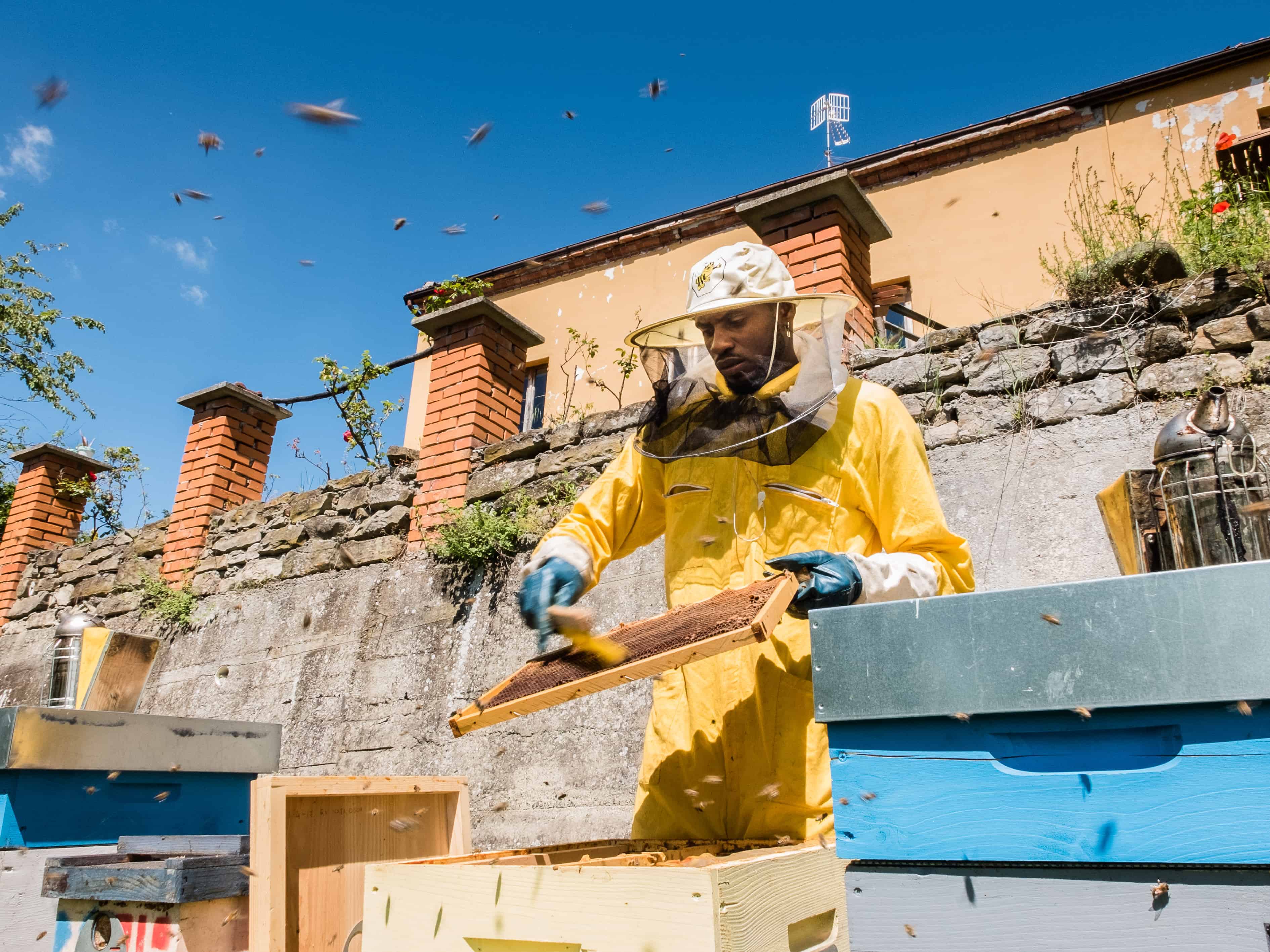 Progetto “BEE MY JOB”