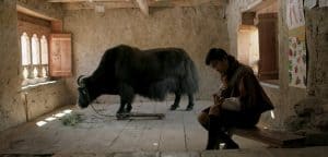 MSPIFF39-LUNANA_YAK_IN_THE_CLASSROOM-still-1_VI