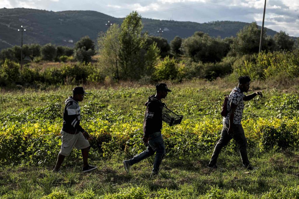 Migrazione, in una mostra fotografica storie di inclusione sociale grazie all'agricoltura - Comunicato stampa 15.12.2021