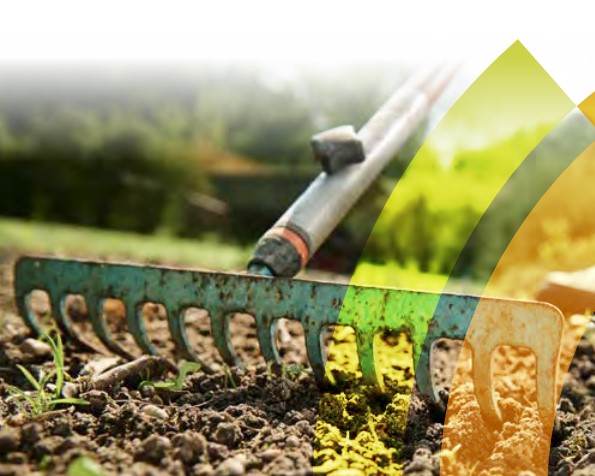 Italiano per l’agronomia e l’orticoltura. Unità di lavoro