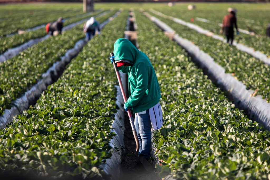 Contro lo sfruttamento, per la dignità della persona e del lavoro - 24.6.2024