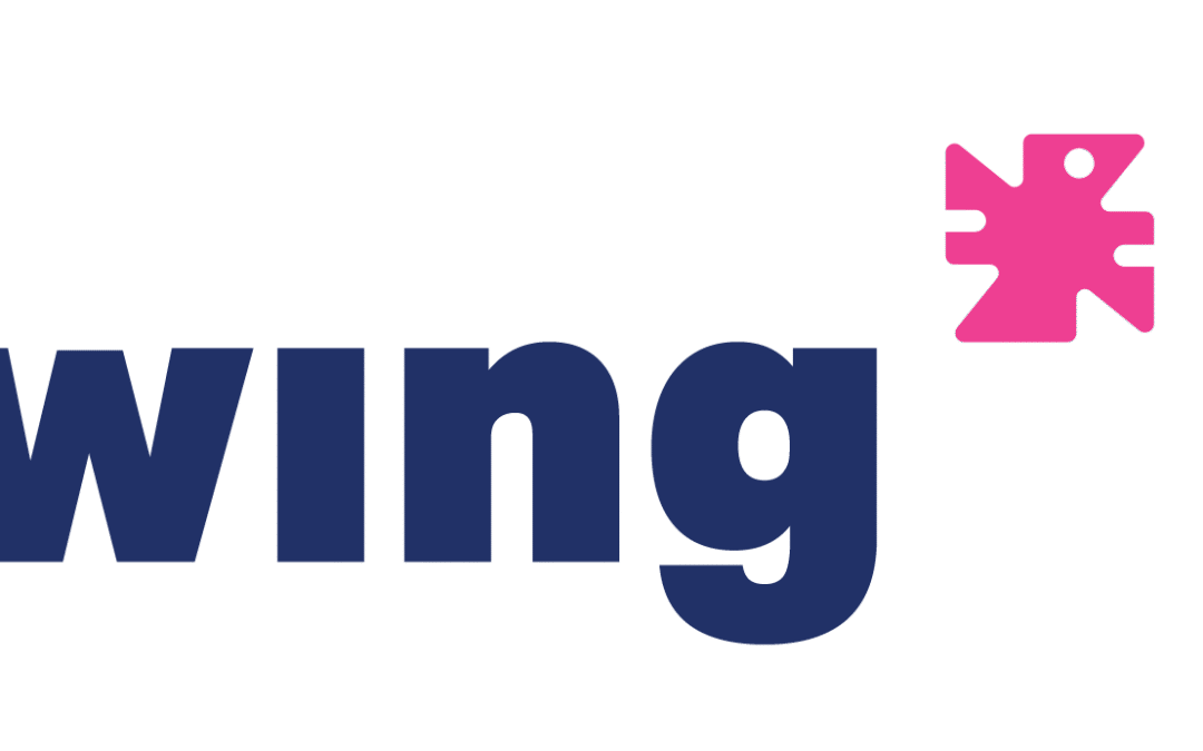 Project “WING: EmpoWerING Actors in Civic Space Protection”